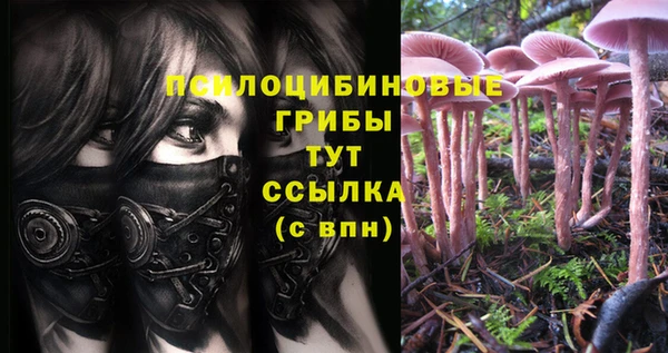 прущие крисы Абаза
