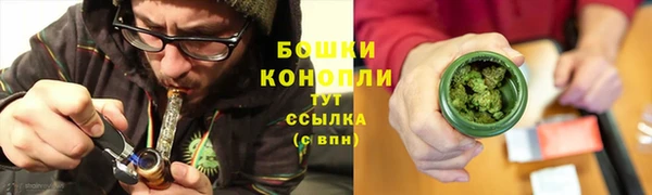 ПСИЛОЦИБИНОВЫЕ ГРИБЫ Лихославль