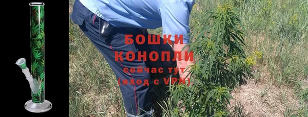 ПСИЛОЦИБИНОВЫЕ ГРИБЫ Лихославль