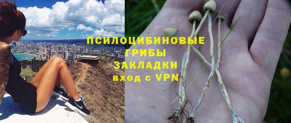 гидра Абинск