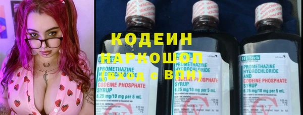 прущие крисы Абаза