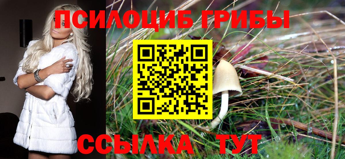 Псилоцибиновые грибы ЛСД  Вход с VPN  Янаул 